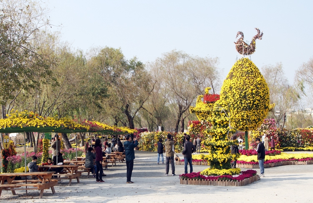 "부여 구드래서 가을정취 만끽하세요" 다음 달 1∼10일 국화축제