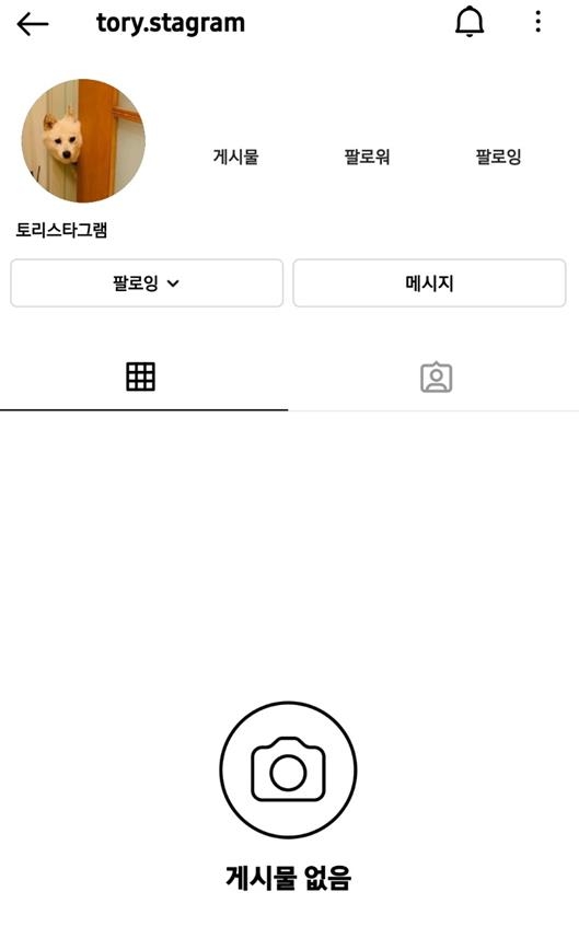 '반려견 사과' 역풍에…윤석열 캠프 '토리스타그램' 폐쇄