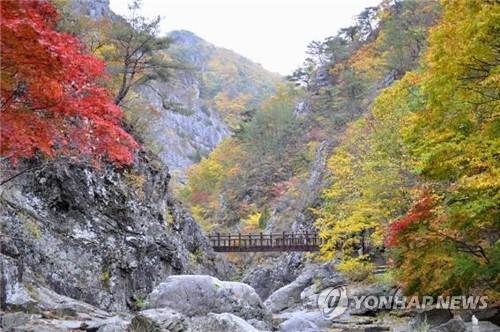 남하하는 단풍, 절정 향하는 가을…유명 산·관광지 '북적'