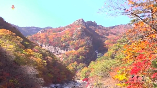 '손뻗으면 닿을듯' 곱디고운 금강산…北TV "산마다 온통 붉은색"