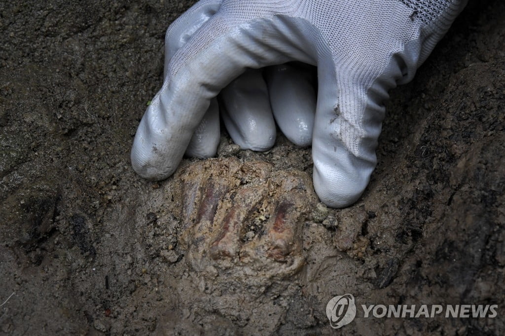 "용암 피해 달아나다 사망"…고대 로마 유골 발견