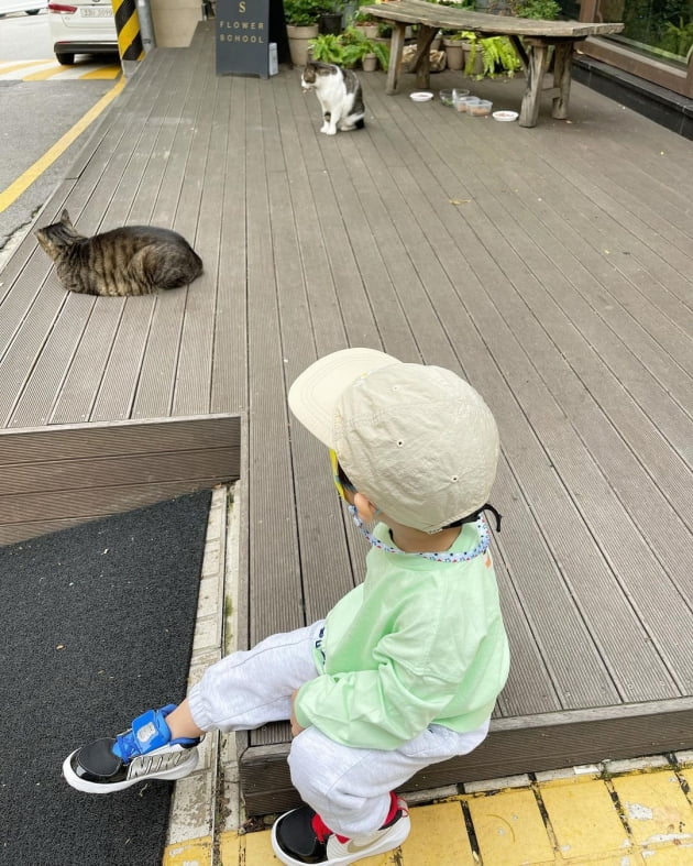 '이필모♥' 서수연, 청담 명품거리서 고양이놀이 하는 아들에 "냐옹이 낳은 건 아냐" [TEN★]