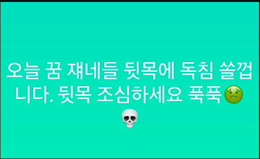 "한심해…뒷목 조심" 뷔, 황당 열애설 루머에 '심기불편' [종합]