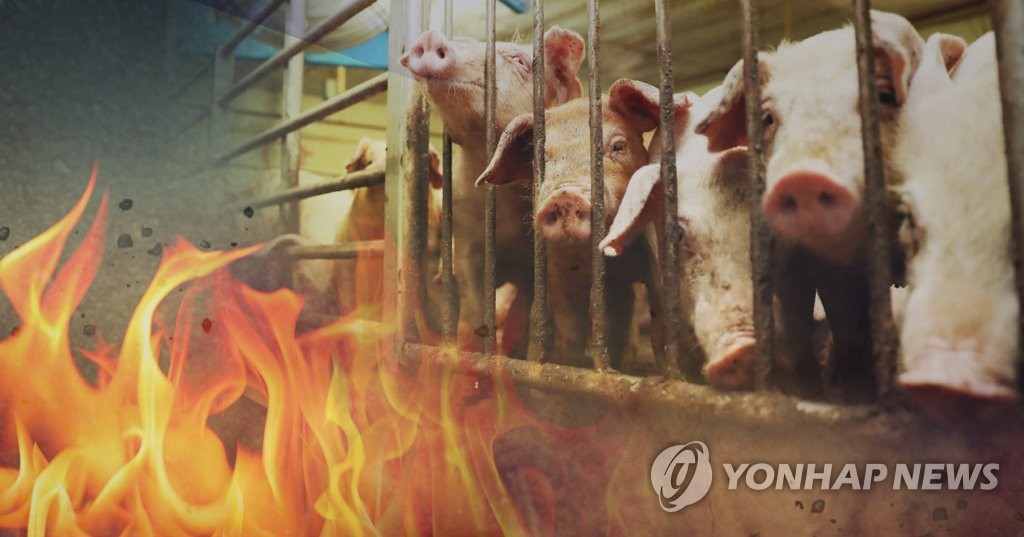 춘천 돼지농장 화재 2시간 만에 진화…2천 마리 소사