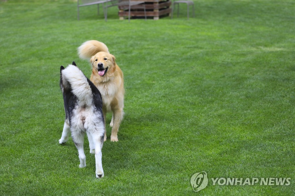 부산 기장에 기초단체 운영 반려견 첫 전용 놀이터 조성