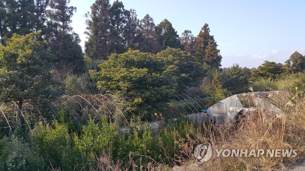 농업법인 산 제주 농지 두 곳 중 한 곳 농사 안 지었다