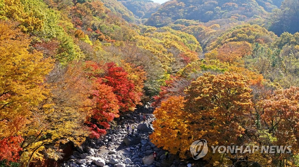 한라산 울긋불긋 단풍 시작…지난해보다 14일 늦어