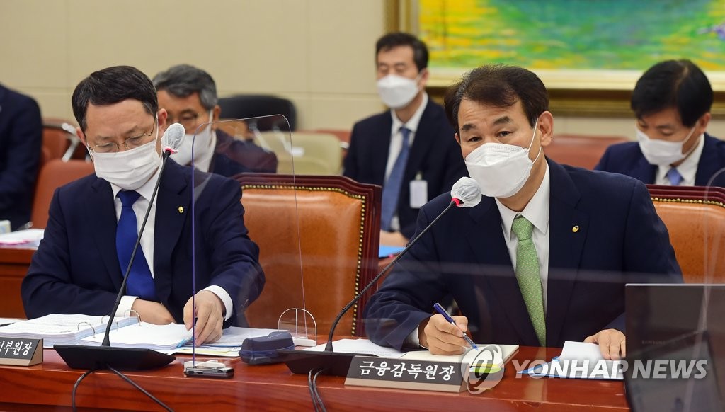 금감원 국감…여야, 대장동·도이치모터스 의혹 공방(종합)