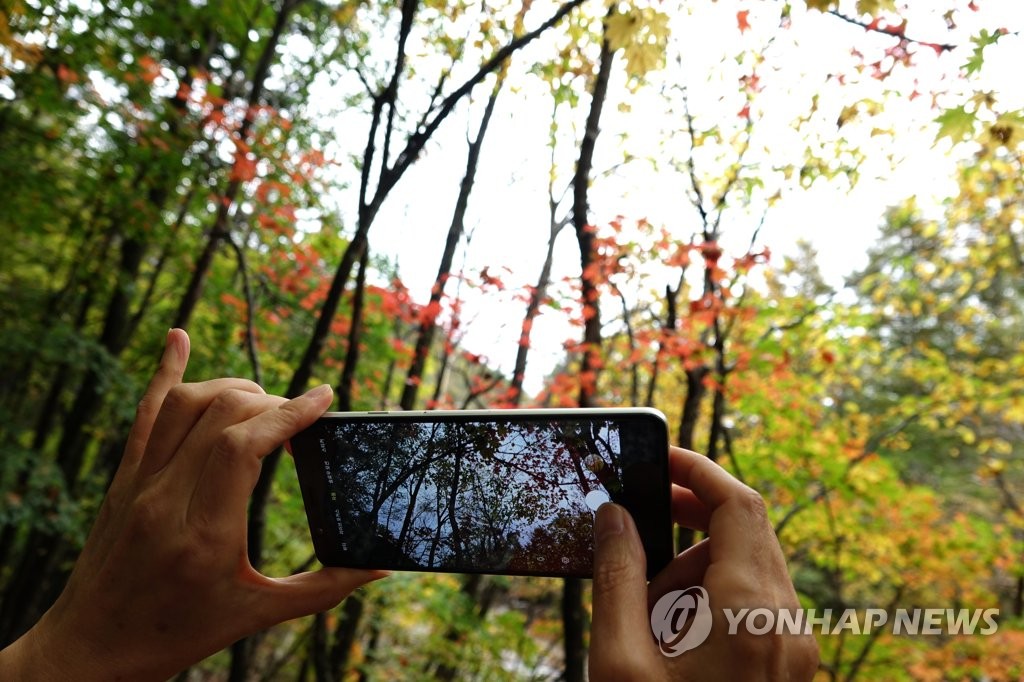 울긋불긋 단풍 구경…연휴 둘째 날 전국 명소 나들이객 북적