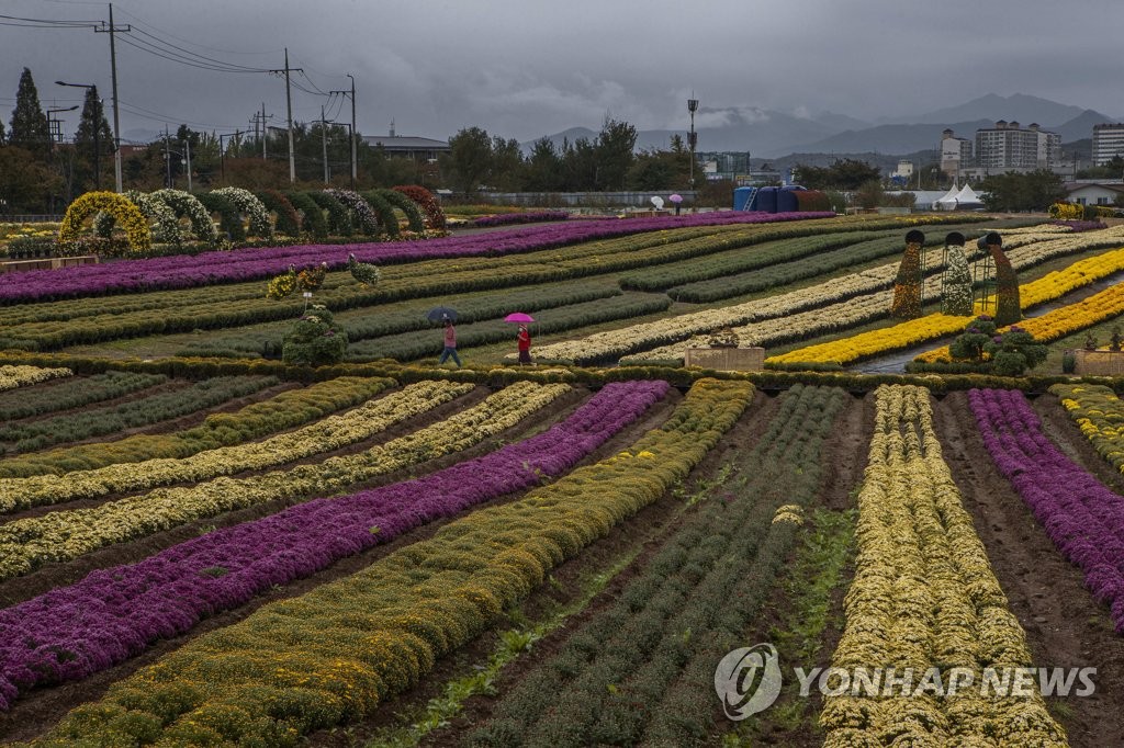 전북 오전까지 흐리고 비…낮 최고 13∼16도