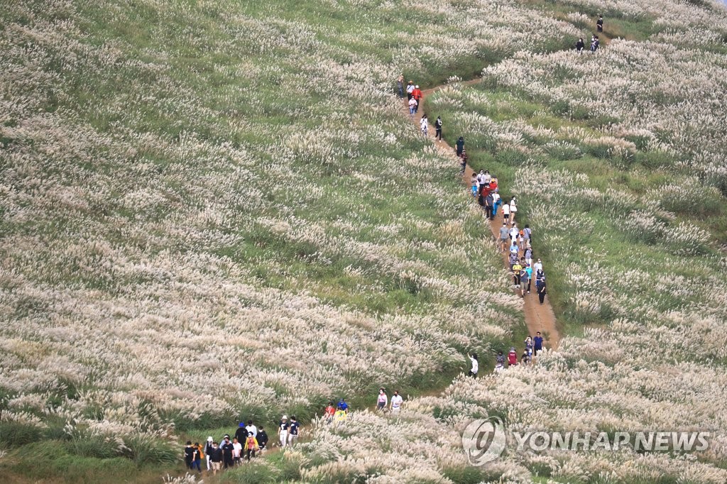 울긋불긋 단풍 구경…연휴 둘째 날 전국 명소 나들이객 북적