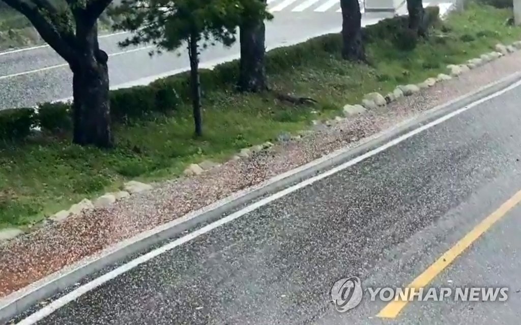 강원·경북 오후 '돌풍에 우박' 예보…내륙 곳곳 짙은 안개