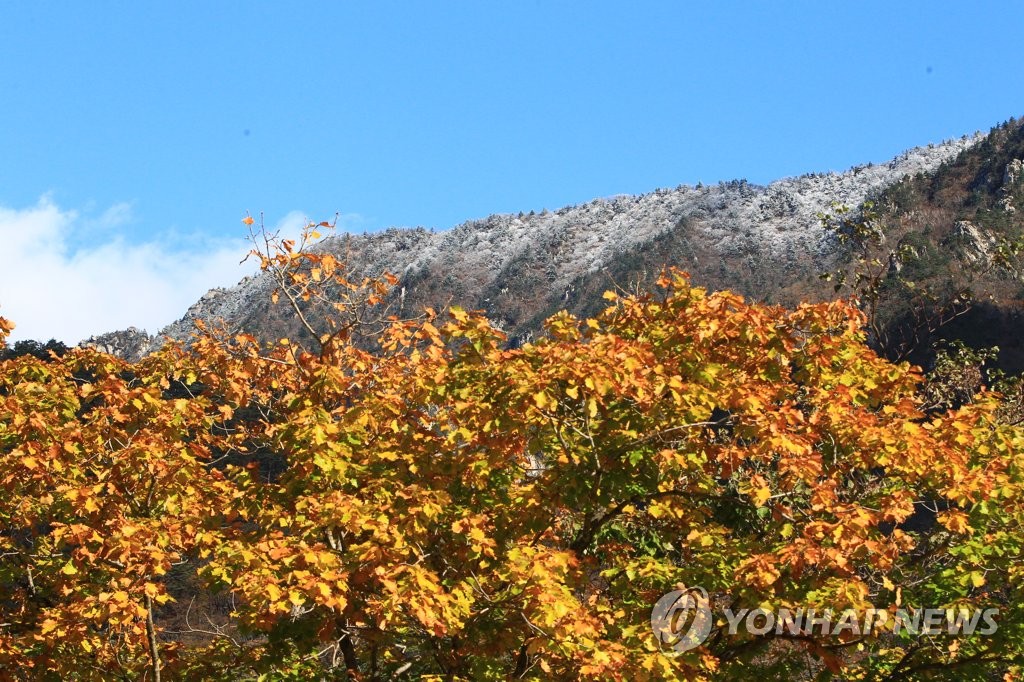 남하하는 단풍, 절정 향하는 가을…유명 산·관광지 '북적'