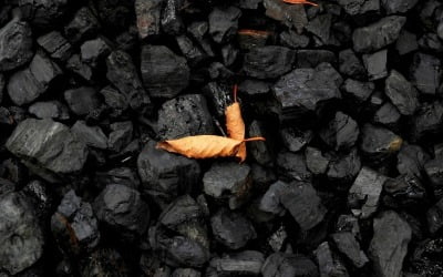 "석탄의 부활"…美 발전소 석탄 사용량 8년 만에 증가세로