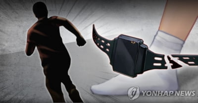 가석방 후 전자발찌 끊고 도주한 40대 모텔 숨어있다 붙잡혀