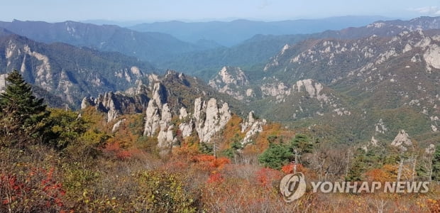 전국 대체로 맑고 일교차 커…중·남부 오전에 비