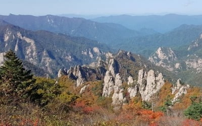 전국 대체로 맑고 일교차 커…중·남부 오전에 비