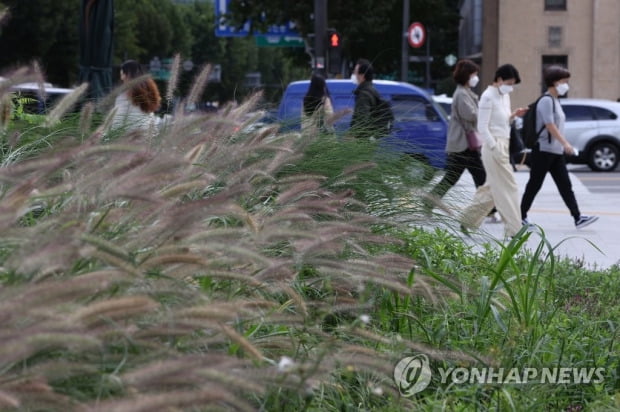 구름 많고 제주·동해안 비…일교차 10도 이상