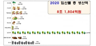 작년 단기소득 임산물 생산량 22% 감소…장마·태풍 여파