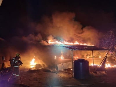 제주 애월읍 양돈장서 화재…돼지 300여 마리 폐사(종합)