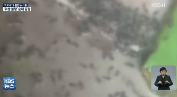지난 2일 KBS는 한 식품업체의 비위생적 순대 제조 공정이 담긴 영상을 보도했다. 사진은 순대를 찌는 대형 찜기 아래 바닥에 벌레들이 붙어있는 모습. [사진-KBS 화면 캡처]
