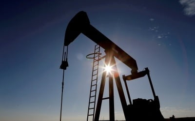 OPEC+ "추가 증산 없다"…바이든 제안 거절