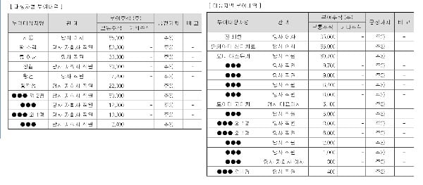 SNK가 주당 0.1원에 지급한 스톡옵션 내역. 사진=금융감독원 전자공시