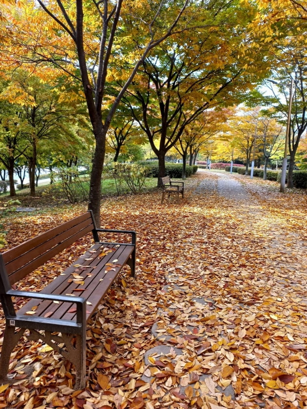 [한국 현대시, 한시로 만나다] 낙엽, 공재동