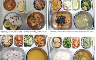 "유치원 매운 급식은 인권침해"…정치하는 엄마들, 인권위 진정