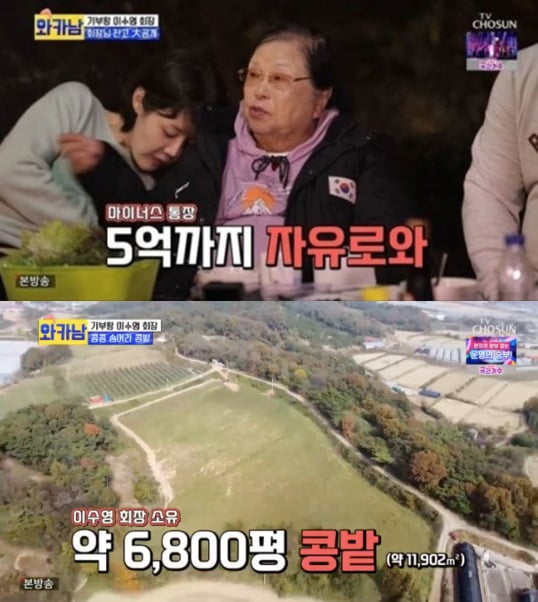 '와카남' 이수영 회장 /사진=TV조선 방송화면 캡처