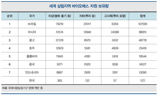 [한상춘의 세계경제 읽기] 유망산업으로 급부상하는 ‘바이오매스 에너지원’