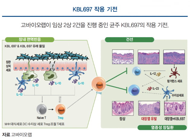 [이주현의 바이오 탐구영역] 마이크로바이옴 신약 첫 기술수출 달성한 고바이오랩 “내년 美 임상 2상 2건 결과 확보”