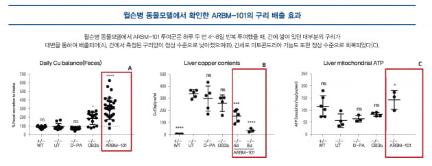 [파이프라인 아카이브] 아보메드 ‘ARBM-101’