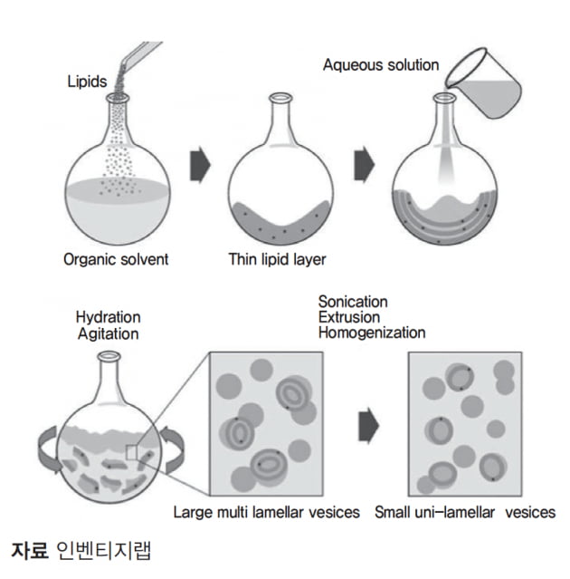 [이슈하이라이트 ❷ MARKET] 진단, 백신에 이어 세포치료제… 영역 확장하는 마이크로플루이딕스