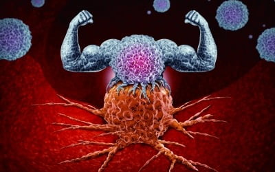 [이승우의 면역학 강의] 후천성 면역의 멀티플레이어 T세포