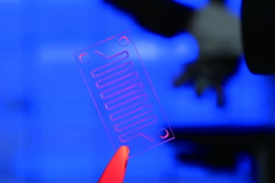 [Cover Story - part 3.Organ On A Chip] 작은 칩 안에 구현된 인간 장기 ‘오간온어칩’