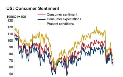 치솟는 인플레…미국 소비자 자신감 10년내 최저