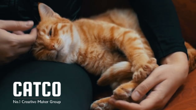 [2021 서경대 캠퍼스타운 스타트업 CEO] AI 고양이 장난감을 만드는 스타트업 ‘캣코’