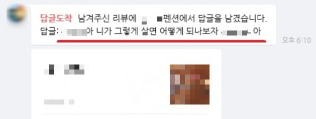 펜션 사장, 리뷰에 쌍욕 댓글 달더니…"다음에 1박 서비스" 