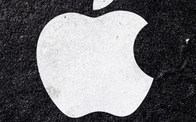 애플·MS 사상 최고, 엔비디아 10% 폭등…인플레·금리 정점 지났나?