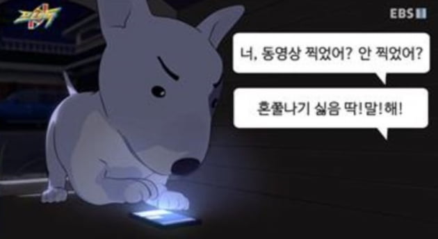 /사진=EBS '포텐독' 영상 캡처