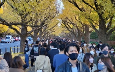 거리엔 시민들로 가득…코로나는 이미 남의 나라 얘기 된 日 [정영효의 인사이드 재팬]