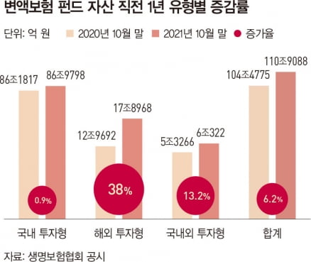 [Special] 해외 투자, 변액보험 등 간접투자로 머니무브