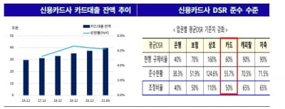 대출규제·금리상승·빅테크…삼중고에 빠진 신용카드사[김은정의 기업워치]