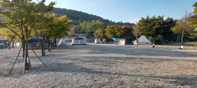 경기도 특별사법경찰단, 도내 산지무단훼손 불법행위 51건 적발해 '검찰 송치'