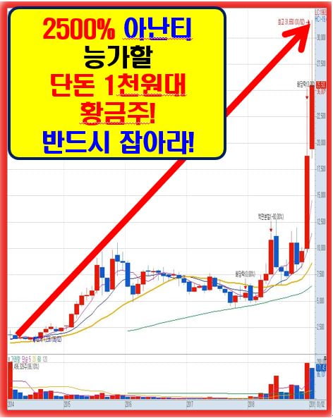 11월! 가장 주목해야 할 단돈 1천원대 황금주!!