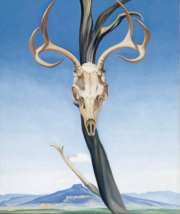 조지아 오키프, 페데르날이 있는 사슴 해골, 1936 