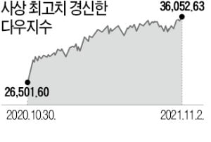 뉴욕증시 불지른 'TINA'