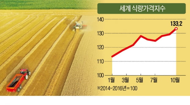 세계 식량값 10년만에 최고…"내년 더 뛸 것"