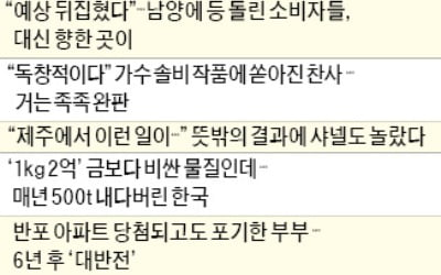  남양에 등 돌린 소비자가 향한 곳